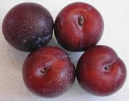 buy cherry plum