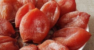 Dried Plum Extract Health Benefits