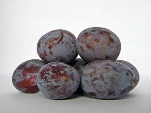 Importers of dry plum in india | what are the best prunes to buy?