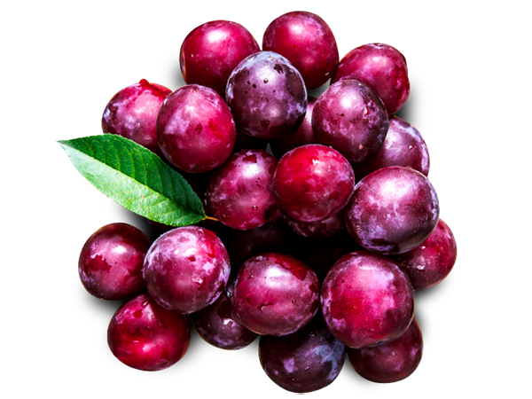 Dry Plum Supplier |Dried Pitted Plums Best Shape for Trades